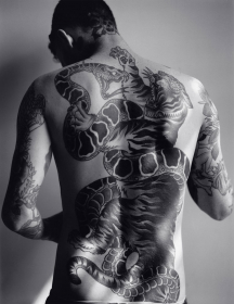 Untitled (Frank #2, Snake vs. Tiger), 2011