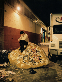 Untitled (Joe #14, Stone Roses), 2008