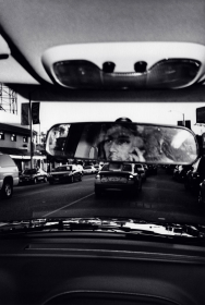 Untitled (Josh #24), 2013