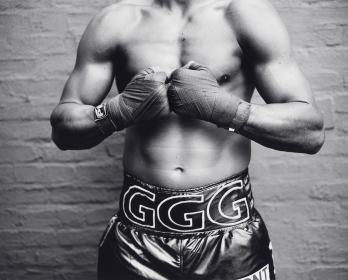 Gennady Golovkin, 2014