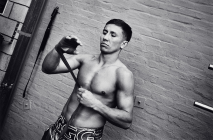 Gennady Golovkin, 2014