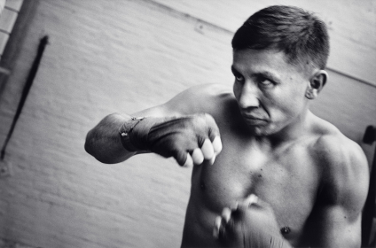 Gennady Golovkin, 2014